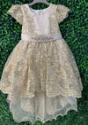 Princess Daliana RoseGold Metallic Lace High Low Dress with Train - 1059