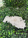Accessories by Elena Flower and  Lace Headband HB3909