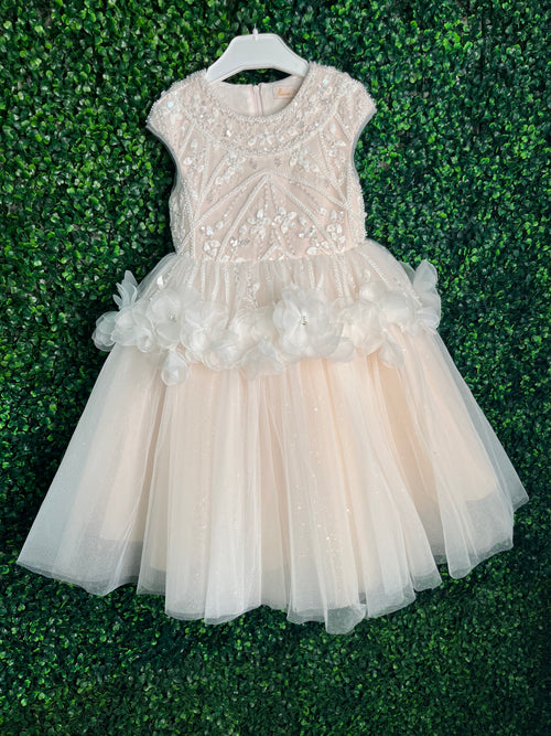 Princess Daliana Blush Beaded Peplum Party Dress