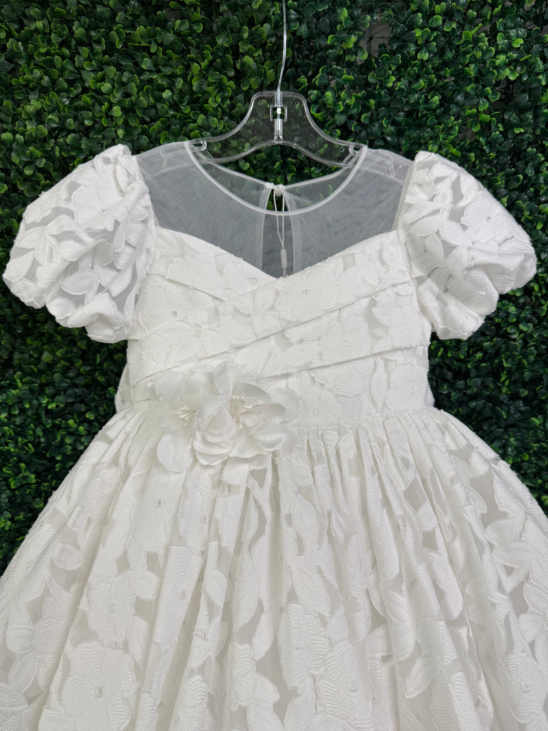 Princess Daliana Floral Lace Gown D24469