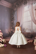 Princess Daliana White Halter Lace Gown Z25004