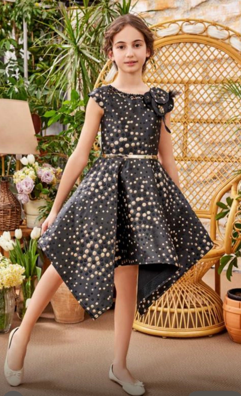 Girls' Black and Gold Special Ocassion Party Dress 3842