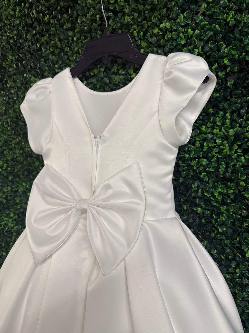 Nan & Jan Satin Circle Skirt Dress - 3081