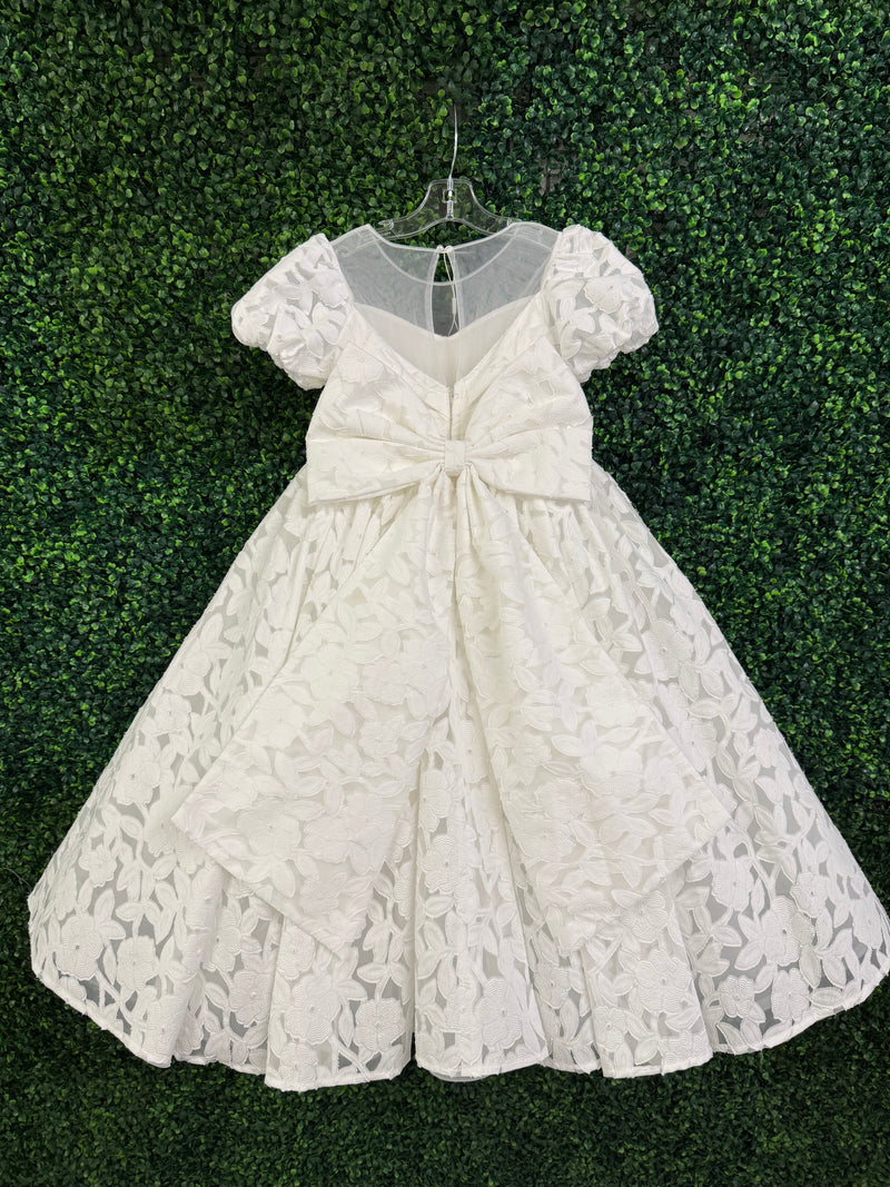 Princess Daliana Floral Lace Gown D24469