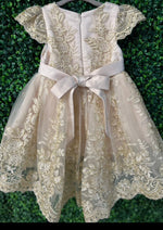 Princess Daliana RoseGold Metallic Lace High Low Dress with Train - 1059