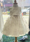 Embroidered Organza Dress