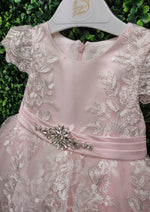 Princess Daliana Pink Metallic Lace High Low Dress with Train - 1059