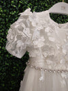 Teter Warm Shimmer Embroidered Petal Baptism Dress - BS24L