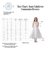 Joan Calabrese Lace Dress with Tiered Organza Skirt 118310